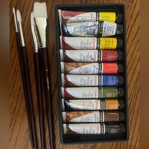 Artist Oil Color Set with Brushes